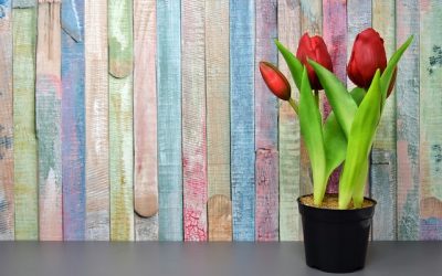 Spring Forward with Career Planning