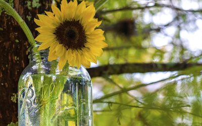 Are you looking after yourself?